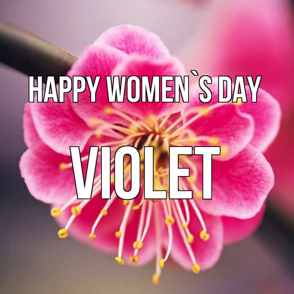 Greetings card с именем, Violet happy women`s day цветы Greetings with text for free download 